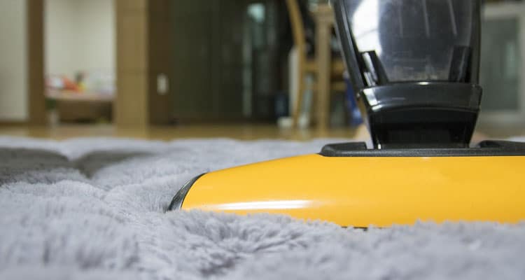nettoyage et entretien moquette
