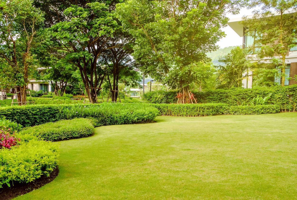 réaliser un jardin écologique