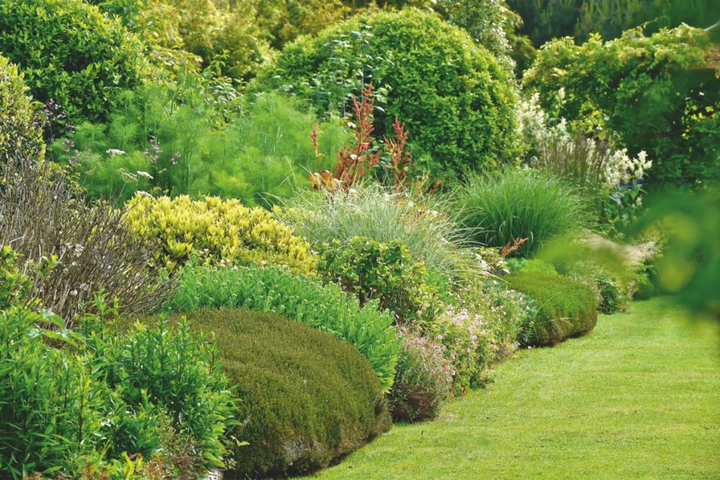 jardin-normandie-plantes