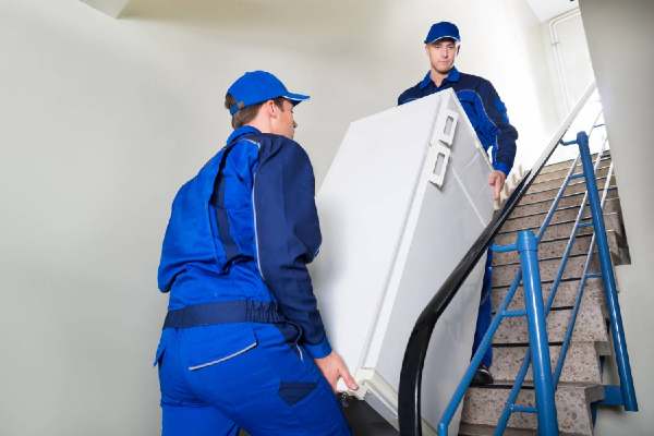 équipe de déménageurs professionnels