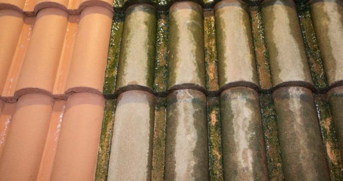 tuiles avant après nettoyage