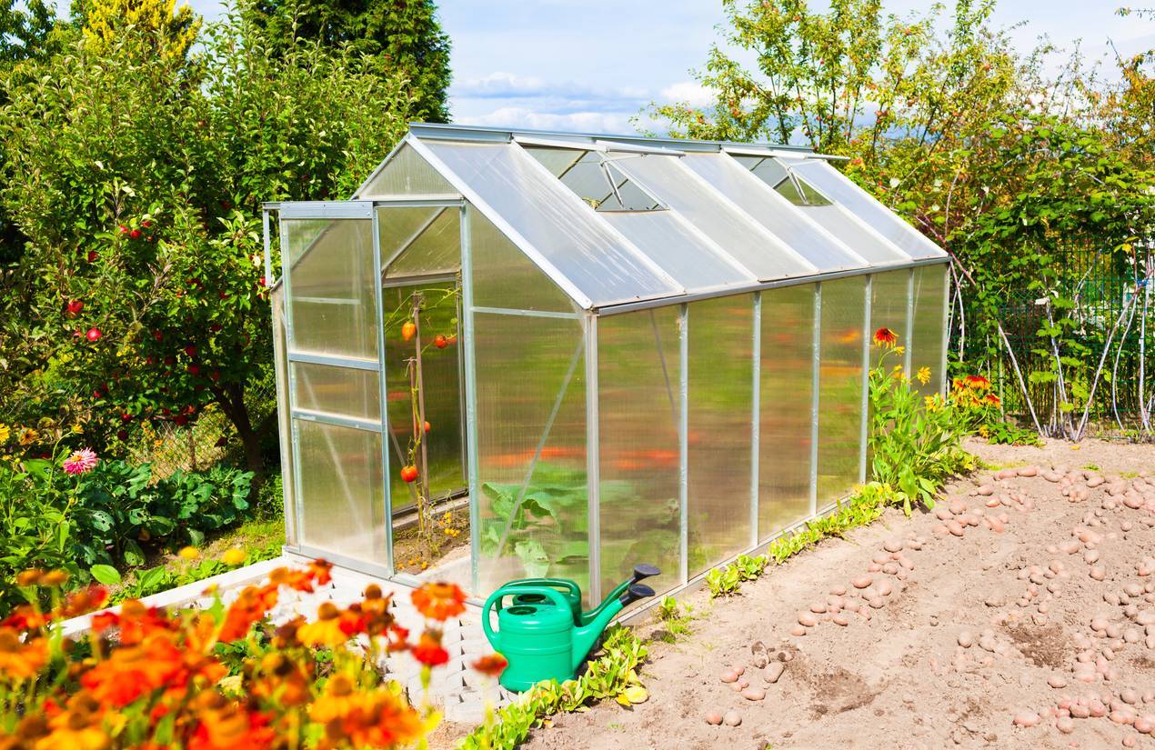 serre de jardin hiver