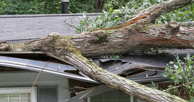 arbre tombé sur toit de maison