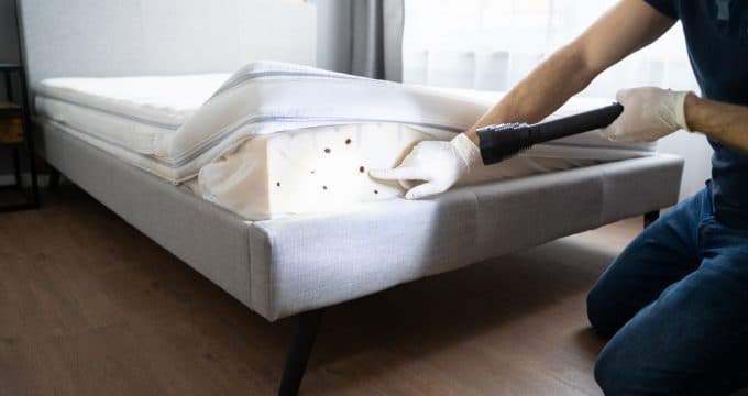 Traitements-naturels-punaises-lit