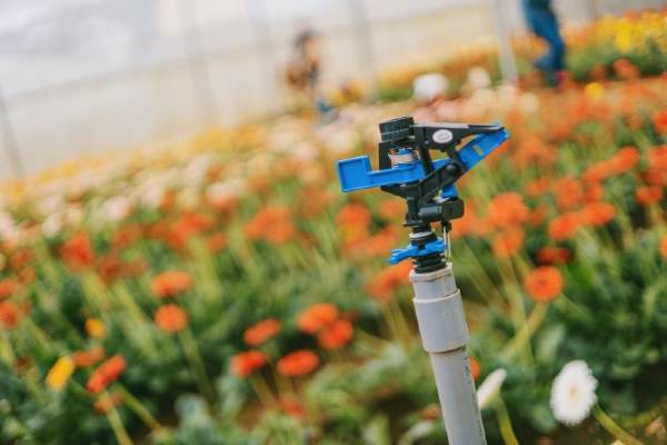 arrosage systeme irrigation