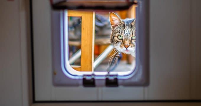 Installer-chatière-porte