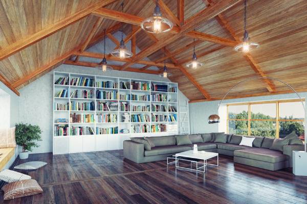 deco salon bibliotheque