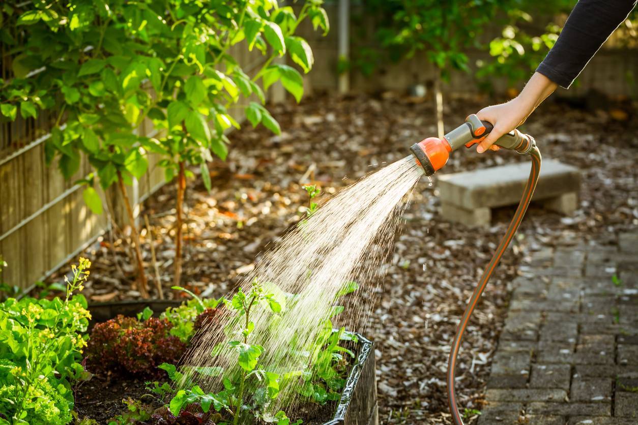 arroser jardin, pompe à eau