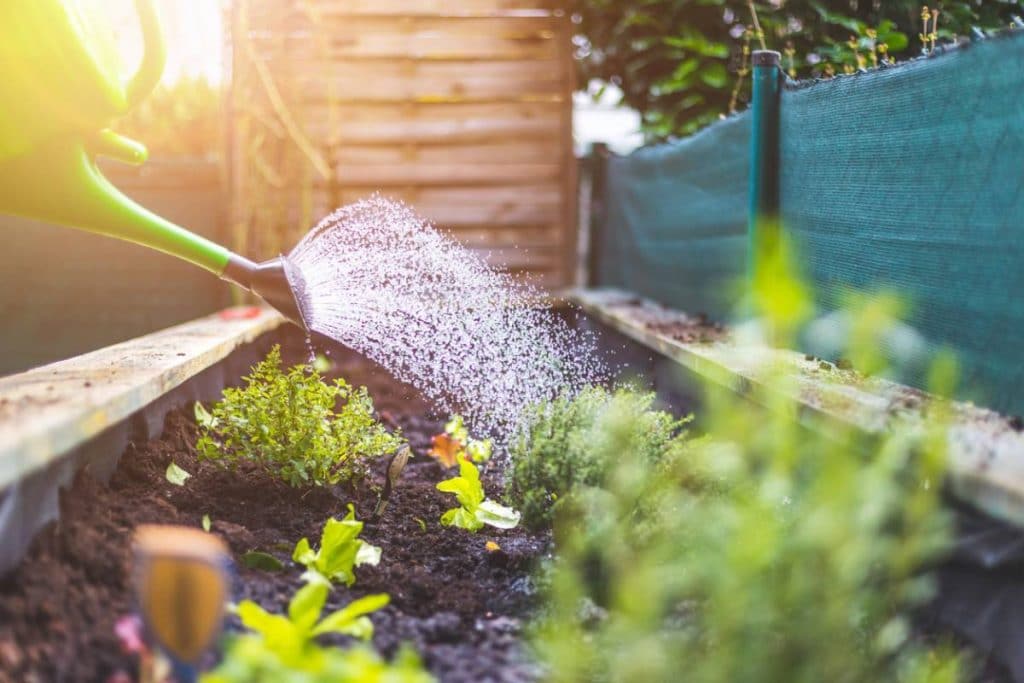 visuel efficacement arrosez jardin le.jpg