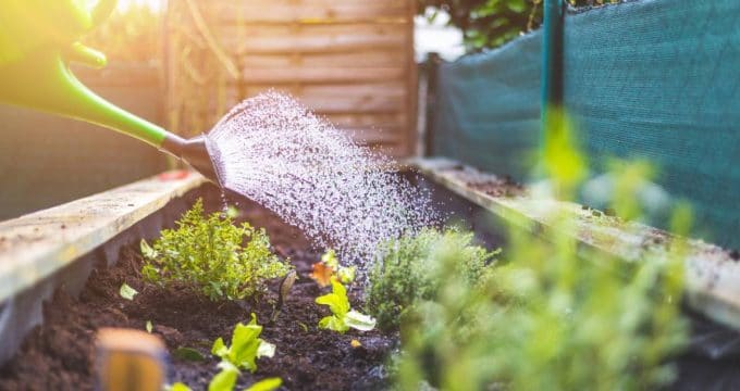 visuel efficacement arrosez jardin le.jpg