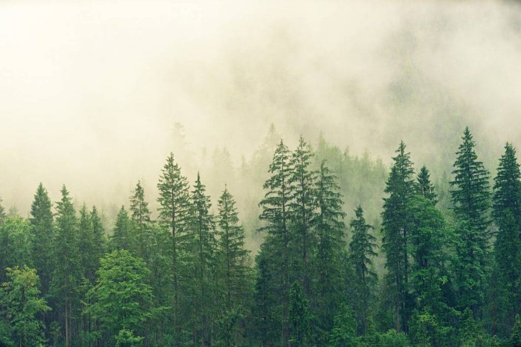 img panoramique tendance.jpg