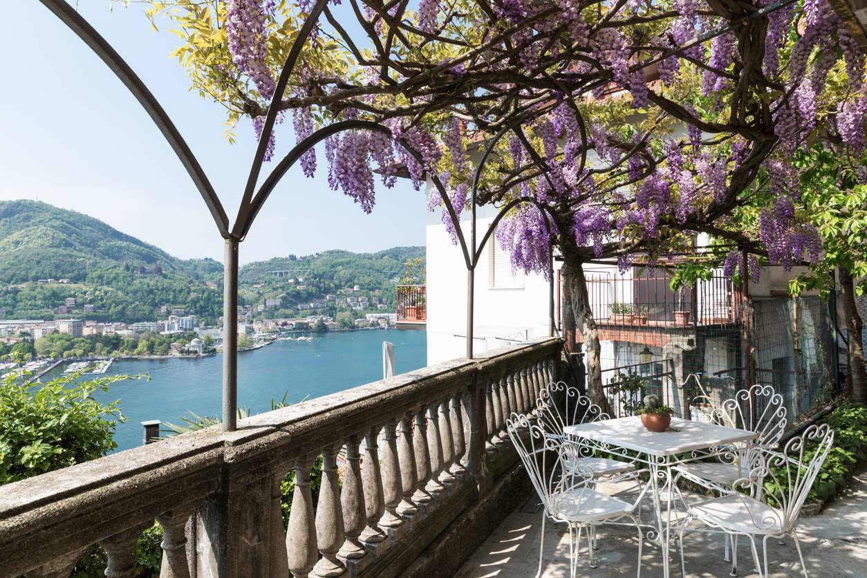 terrasse avec glycines