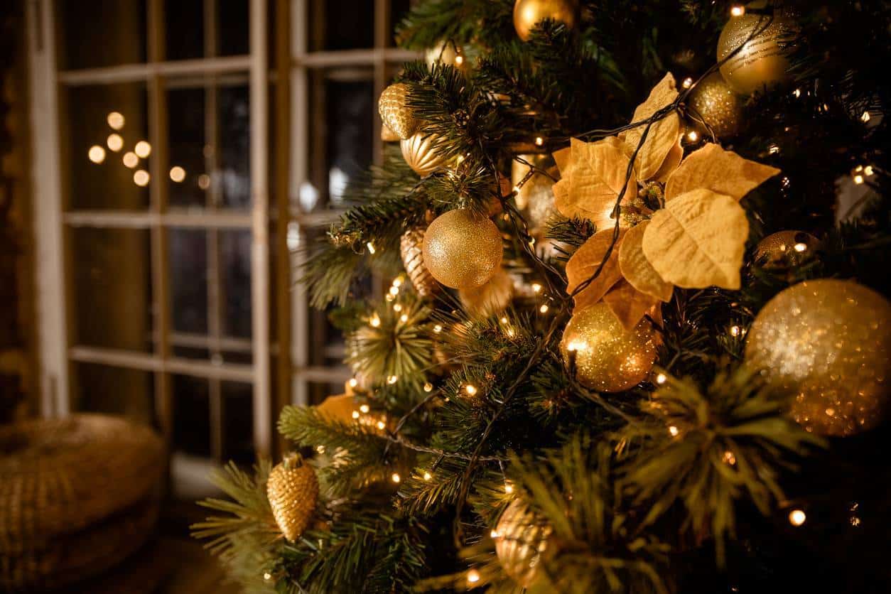 achat sapin de Noël