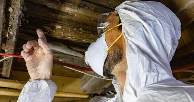 humidité dans ma cave les risques