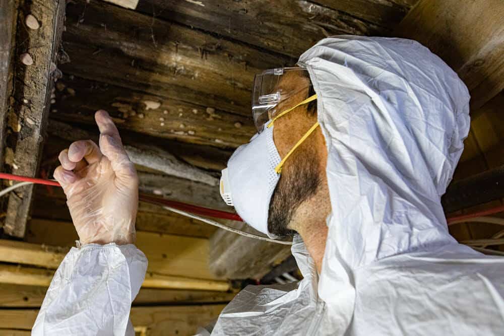humidité dans ma cave les risques
