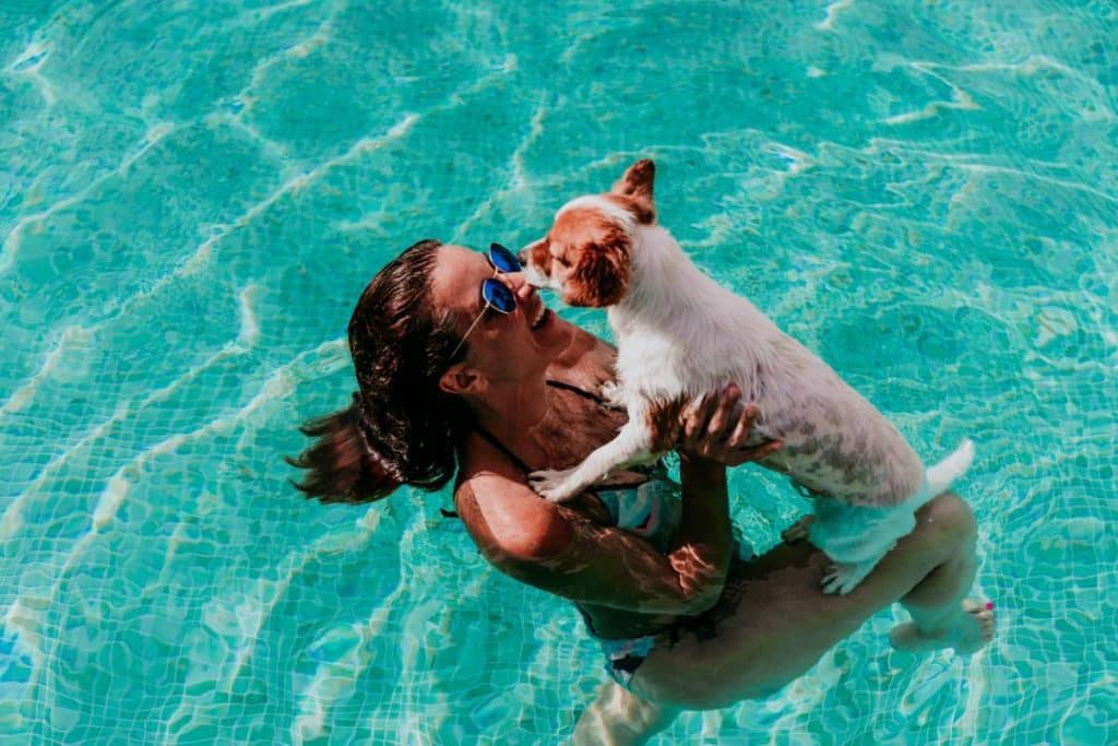autoriser piscine entrer votre chien.jpg