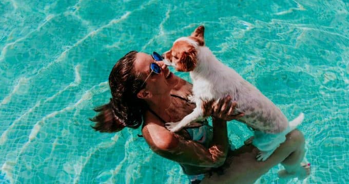 autoriser piscine entrer votre chien.jpg