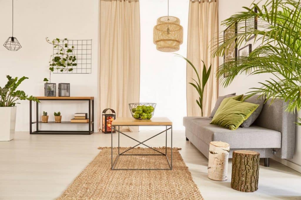 visu interieur vegetal.jpg