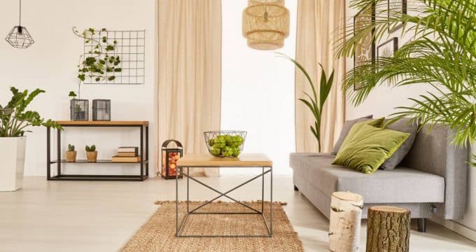 visu interieur vegetal.jpg