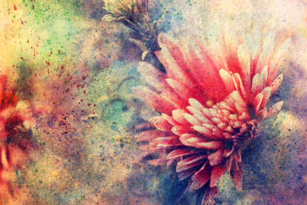 fleurs dans la maison inspirations