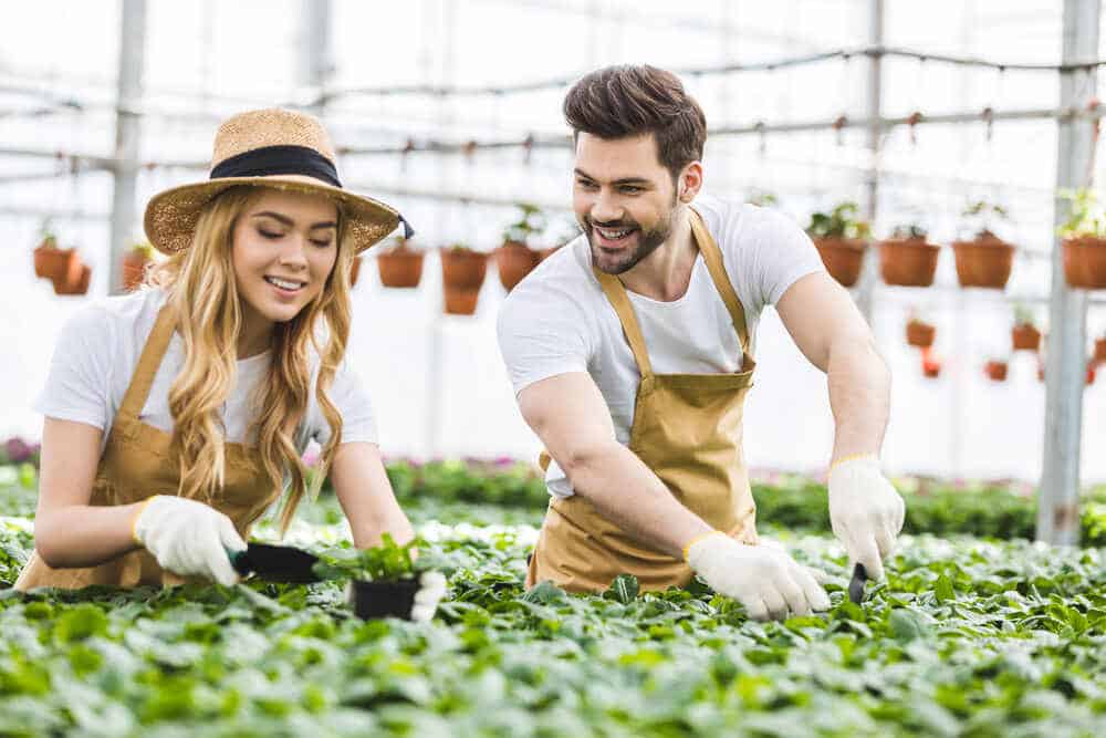 serre pour son jardin 1