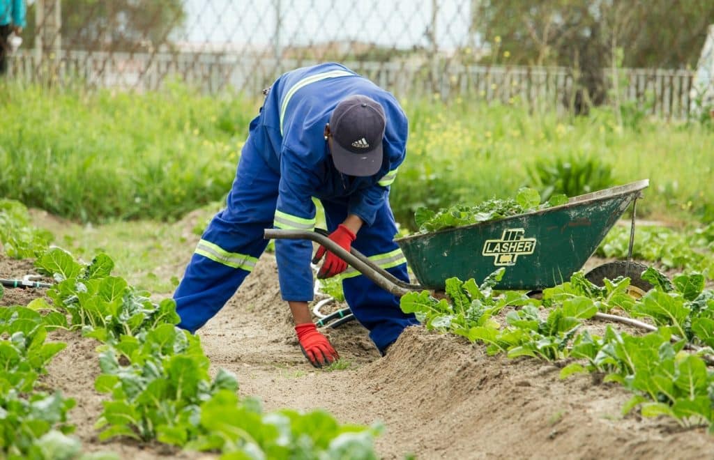 entretenir-votre-jardin-entreprise