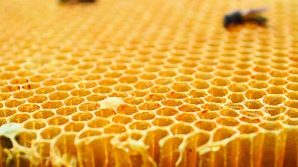 cires-abeille-gaufrees