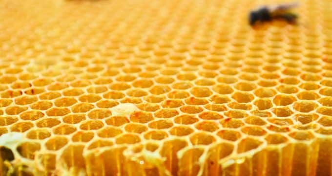 cires-abeille-gaufrees