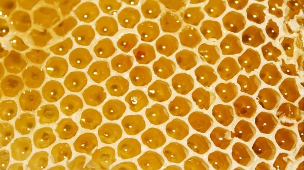 cires-abeille-gaufrees-espace