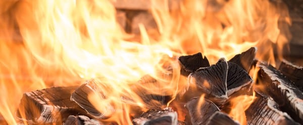 bois en feu