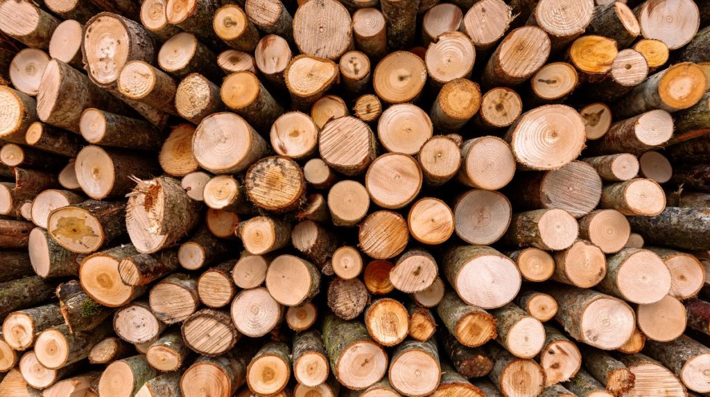 piles de bois de chauffage