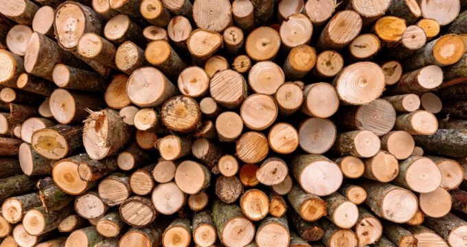 piles de bois de chauffage