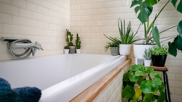 renovation salle bain ecologique eau