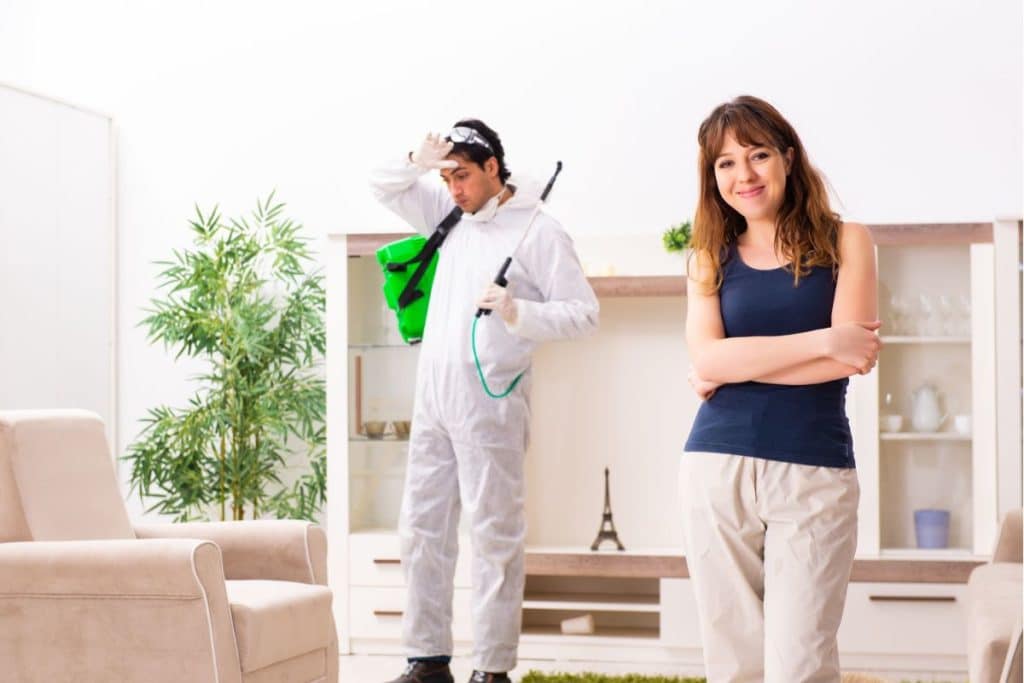 deratisation-travaux-maison