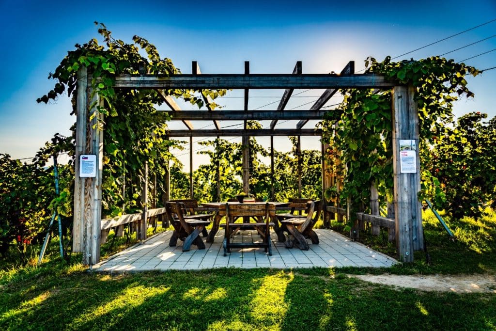 pergola bioclimatique