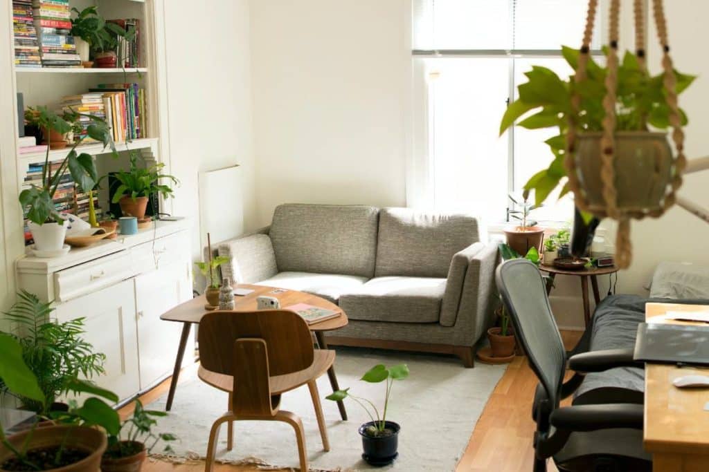 logement meublé