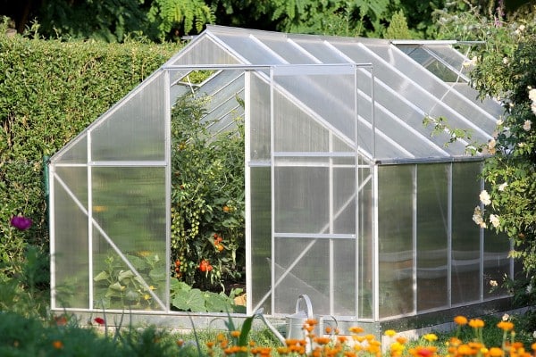 serre de jardin