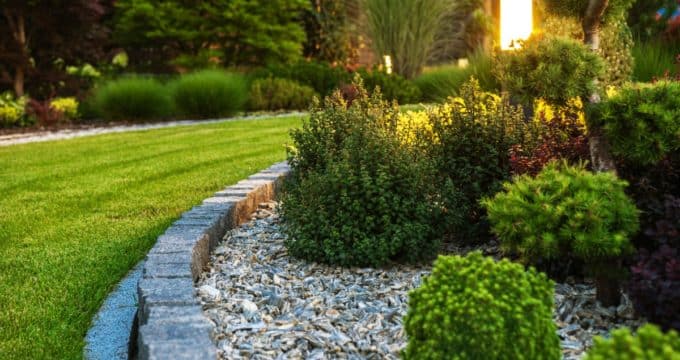 parterre de fleurs de jardin aménagé