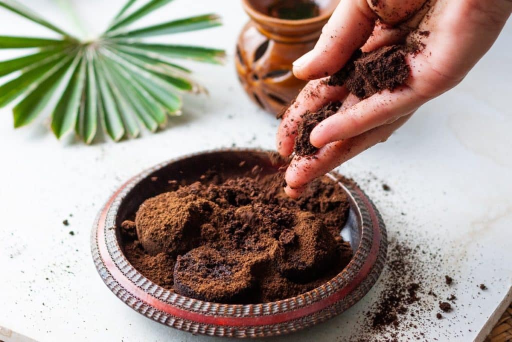 une femme émiette le marc de café