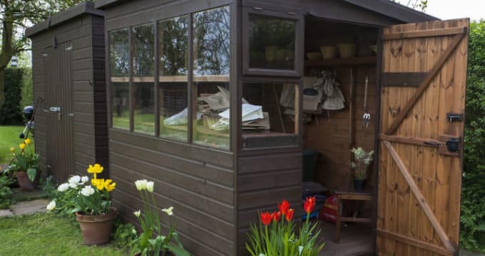garden shed exterior with door open, tools, flowers, and plant p