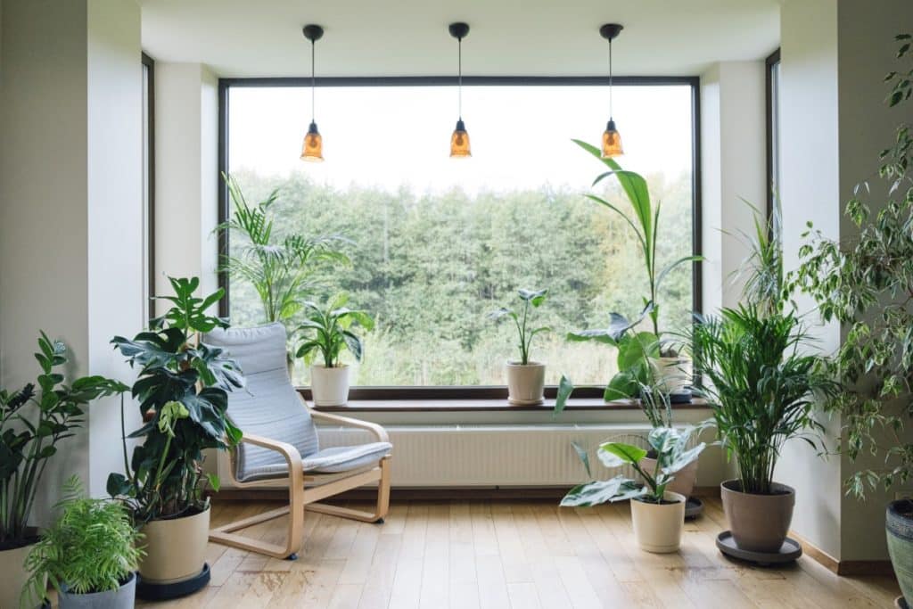 intérieur moderne avec plantes d'intérieur