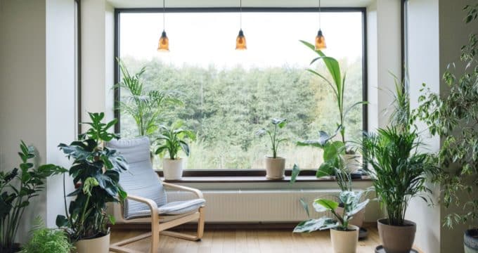 intérieur moderne avec plantes d'intérieur
