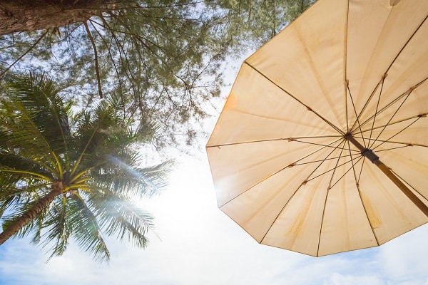 parasol