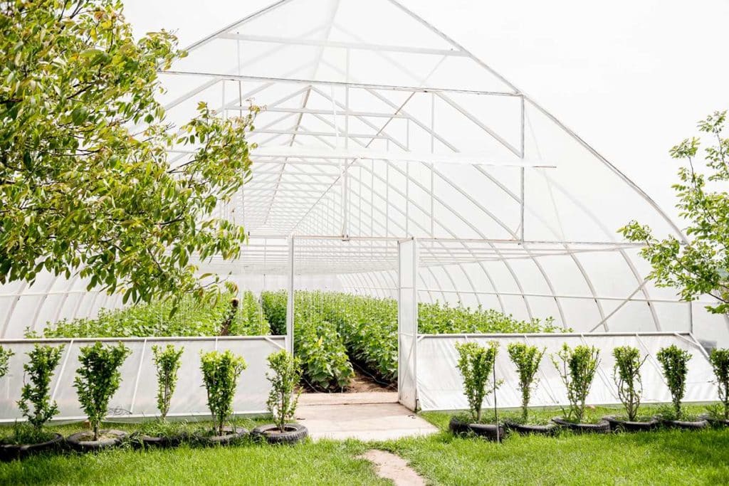 serre de jardin