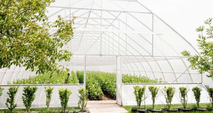 serre de jardin
