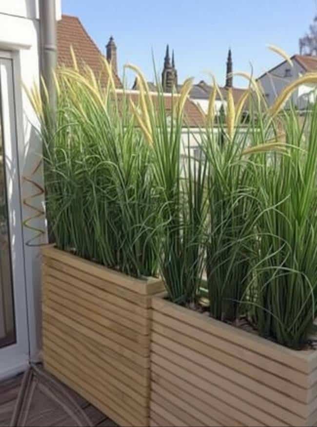 brise de vue créé à partir de plantes dans un bac sur un balcon