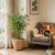 découvrez eminza, votre guide complet pour sublimer votre intérieur avec des idées déco, des conseils pratiques et une sélection d’articles tendances.