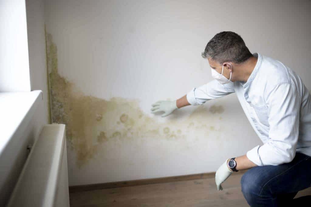 humidité murs maison