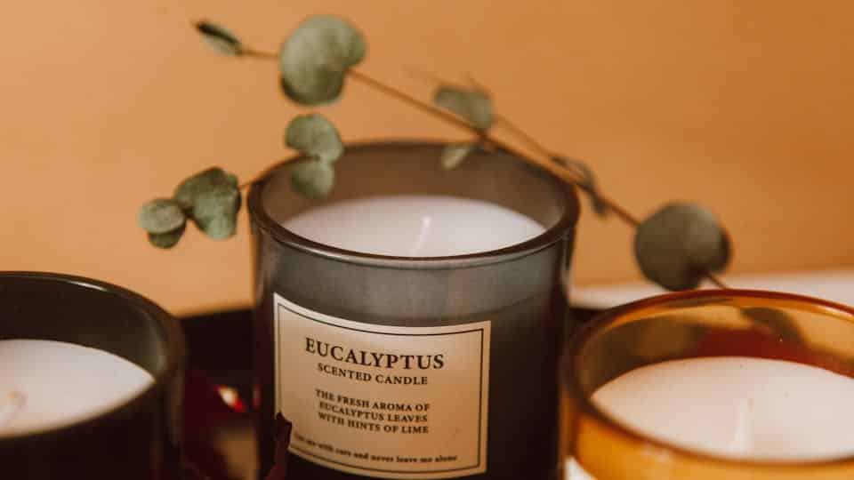 accesssoires pour une déco nature 3